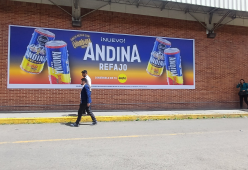 Retail Media Fachadas Andina en el éxito