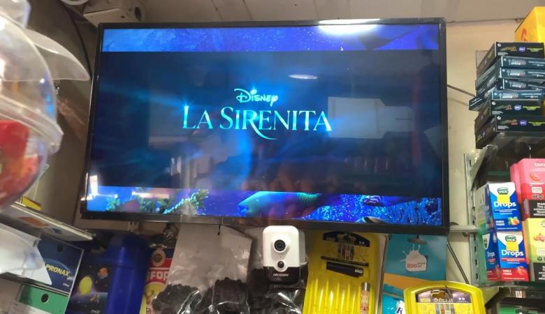 La Sirenita en Tiendas de barrio